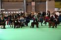 Crufts2010 1392